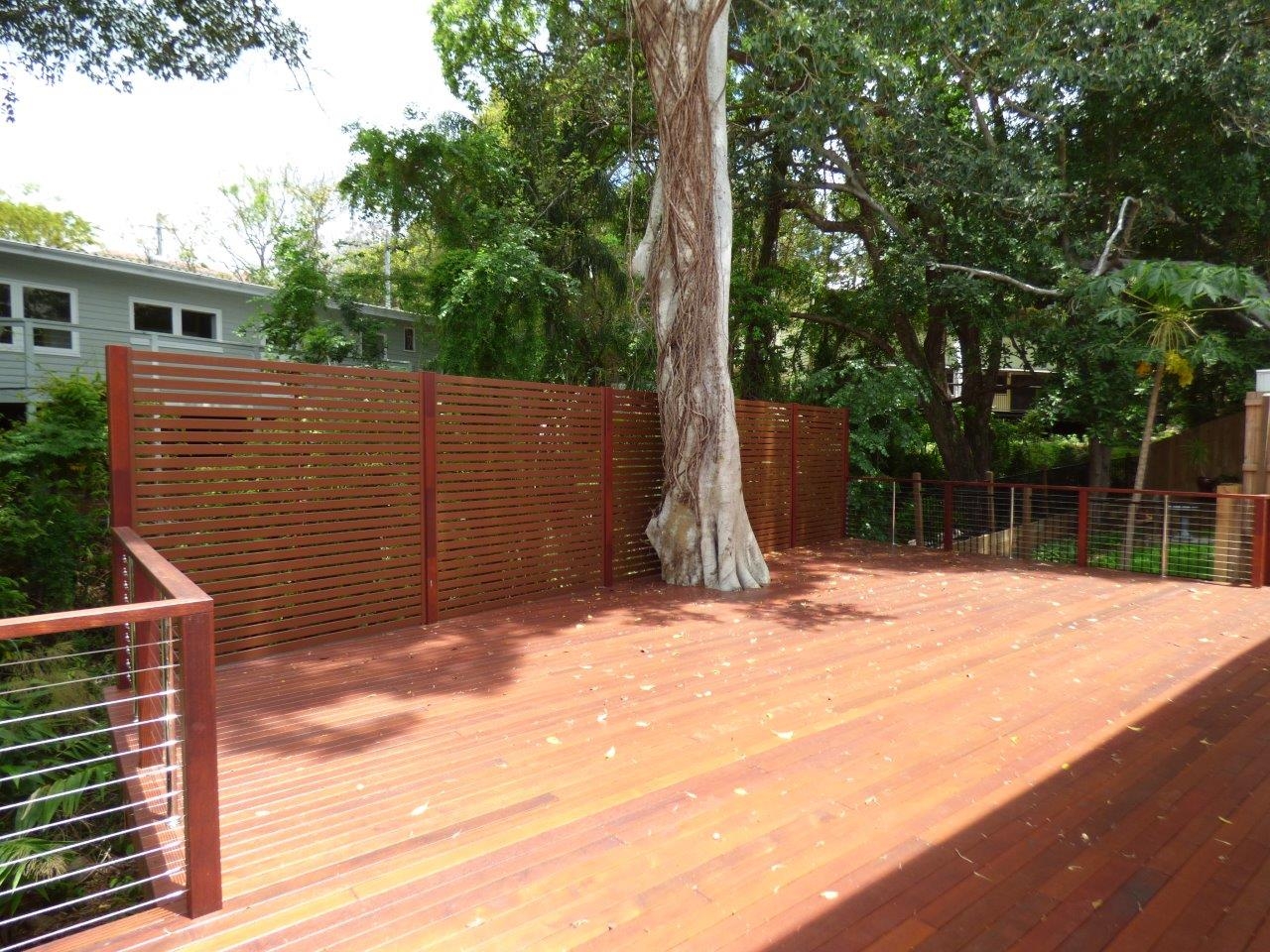 Deck around tree.